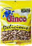Product image of Peanuts (Roasted & Salted) by Ginco